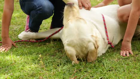 Brother-and-sister-petting-their-dog