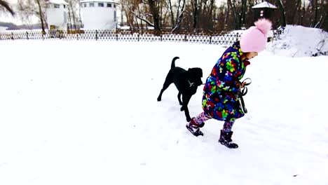 Kleines-Mädchen-spielt-mit-ihren-schwarzen-Labrador-auf-Schnee