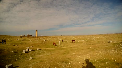 A-wasteland-with-horses-and-people-in-the-distance-on-the-border-of-Turkey-and-Syria