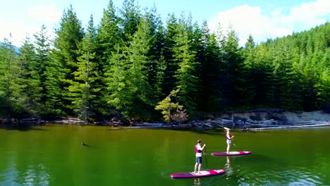 Paar-Rudern-einen-Stand-up-Paddle-Board-im-Fluss-4k