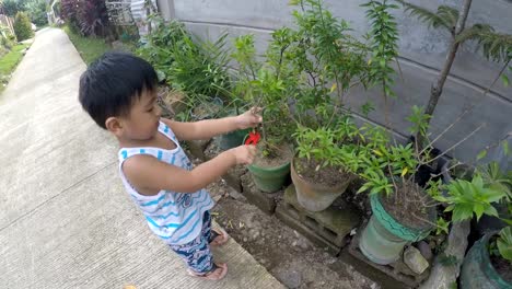 Baby-boy-learning-gardening-cutting-plant-with-toy-pliers