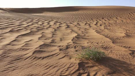 Arena-en-las-dunas-de-arena-en-el-viento,-el-desierto-del-Sahara