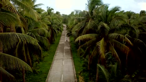 Drone-point-of-view-of-man-driving-motorbike-in-palm-trees-road-in-the-Philippines,-aerial-view-from-drone