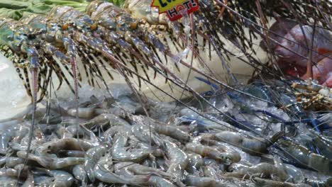 Küche-und-Meeresfrüchte-in-Chinatown-von-Bangkok