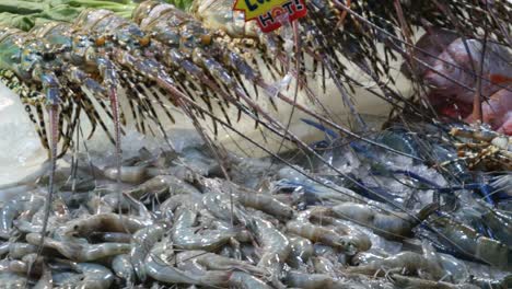 Dining-and-seafood-in-Chinatown-of-Bangkok