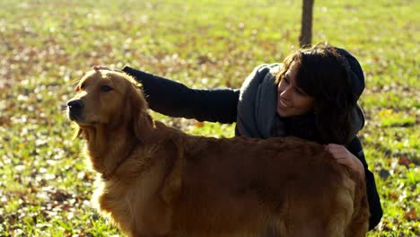 Porträt-von-einen-schönen-Golden-Retriever-Hund-mit-Stammbaum-und-ein-gutes-Haarkleid-gebürstet-nur...-Der-Hund-reinrassig-ist-umgeben-von-viel-Grün-und-sieht-Kamera