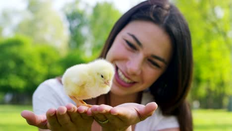 Die-besten-Momente-aus-dem-Leben,-das-süße-Mädchen-spielt-mit-kleinen-chickens(yellow)-auf-dem-Hintergrund-der-grünen-Rasen-und-Bäumen-im-park