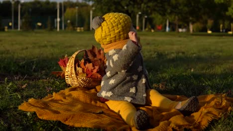 Familie-im-sonnigen-Herbst-park