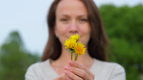 Mujer-joven-mantenga-en-manojo-pequeño-de-manos-de-flores-de-diente-de-León