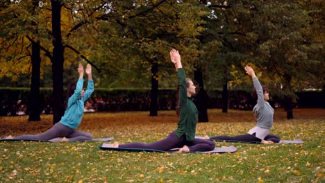 Gruppe-von-jungen-Damen-tut-Yoga-Praktizierenden-King-Pigeon-Pose-Eka-Pada-Rajakapotasana-auf-Matten-auf-schönen-grünen-und-gelben-Rasen-im-Park-am-Herbsttag.