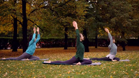 Group-of-young-ladies-is-doing-yoga-practising-King-Pigeon-pose-Eka-Pada-Rajakapotasana-on-mats-on-beautiful-green-and-yellow-lawn-in-park-on-autumn-day.