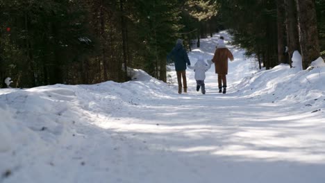 Mutter-und-zwei-Kinder-laufen-im-Wald