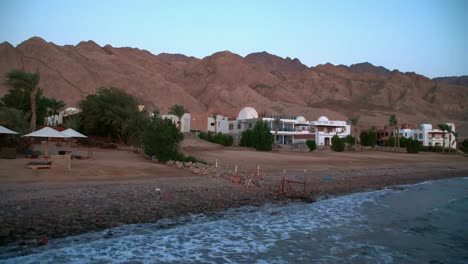 Egypt-Dahab-palm-trees-and-sea