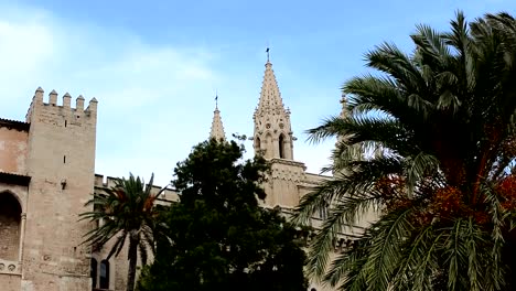 Palma-de-Mallorca-mittelalterlichen-Festung-wind-palmtrees