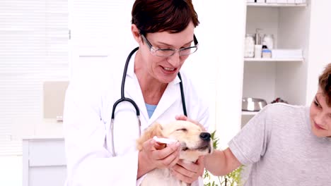 Sonriente-mujer-vet-examinar-Monada-cachorro