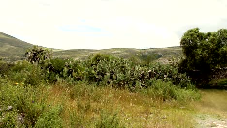 Countryside-landscape-in-Peru