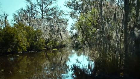 NEW-ORLEANS,-MÄRZ-2014:-Preisgabe-Spanish-moss-überdachte-Filialen-in-der-bayou