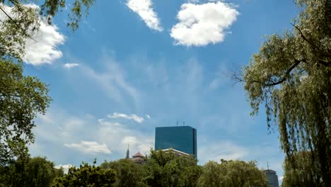 Time-lapse-jardín-público-de-Boston