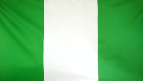 Nigeria-Flag-real-fabric-close-up