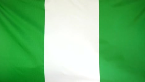 Nigeria-Flagge-echter-Stoff-Nahaufnahme