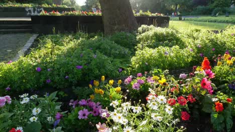 Sliding-shot-of-morning-park-with-people-jogging