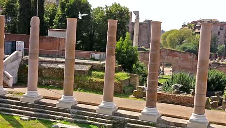 Roman-Forum.-Video-of-Roman-Forum-in-Rome,-Italy.-(Latin:-Forum-Romanum,-Italian:-Foro-Romano)