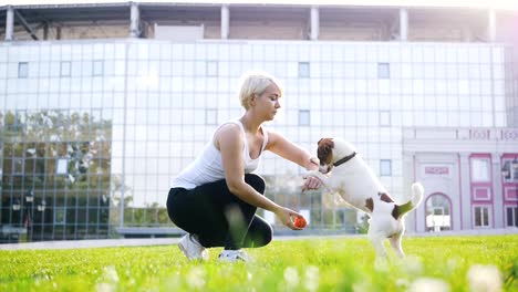 Junge-Frau-training-kleine-süße-jack-Russel-Terrier-im-Park,-Slow-motion