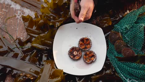 Closeup-Man-Hand-With-A-Knife-Cuts-A-Sea-Urchin-In-Half-And-Puts-It-On-A-Plate