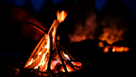 Burning-bonfire-of-dry-branches-in-the-forest-close-up.