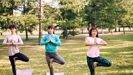 Deportistas-atractivas-son-equilibrio-sobre-una-pierna-durante-la-clase-de-yoga-al-aire-libre,-desarrollo-de-fuerza-y-equilibrio.-Parque-verde-y-brillante-yoga-esteras-son-accesibles.