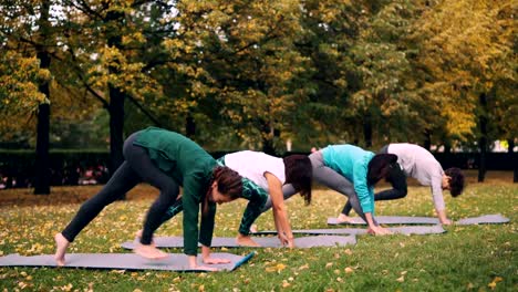 Yoga-class-is-doing-stretching-exercises-in-park-enjoying-autumn-nature,-fresh-air-and-physical-activity.-Well-being,-recreation-and-young-people-concept.