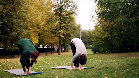 Professionelle-Yoga-Lehrer-gut-aussehende-Frau-lehrt-Studentin-sprechen-und-zeigen-Asanas,-während-hören-und-wiederholen-es-hübsches-Mädchen.-Jugend-und-Freizeit-Konzept.