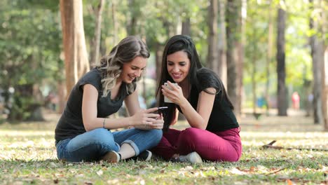 Ehrliche-Freunde-draußen-im-Park-Überprüfung-ihres-Handys.-Mädchen-sitzen-auf-der-Suche-auf-ihre-smartphones