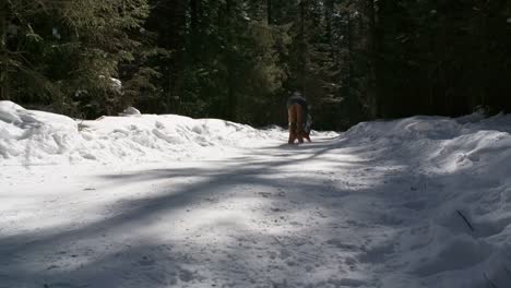 Boy-Pushing-Sled-with-Little-Sister