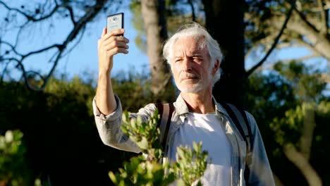 Senior-hombre-tomando-selfie-con-teléfono-móvil-en-el-campo-4k