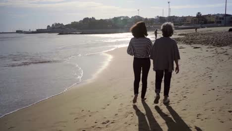 Rear-view-of-two-mature-women-walking-and-talking-on-seashore.