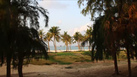 beach-jumeirah-park-4k-time-lapse-in-dubai-city