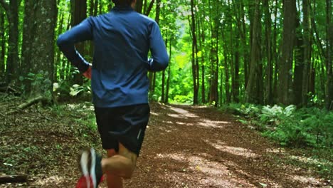 Jogging-in-the-Forest