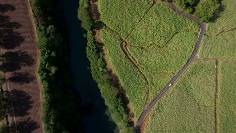 Fluss-und-Zuckerrohr-Felder,-Luftaufnahme-von-Mauritius