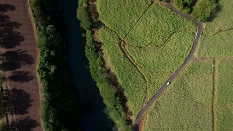 River-and-sugar-cane-fields,-aerial-view-of-Mauritius