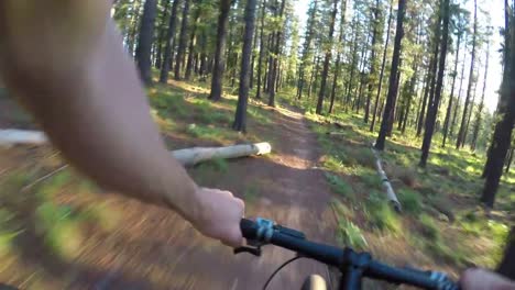 Disfrutando-de-mi-bicicleta-de-montaña-en-el-bosque