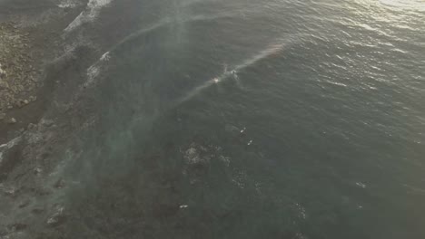 Coastal-surfer-in-sunset-aerials