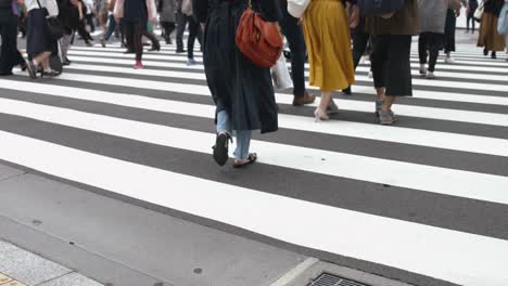 People-walking-on-the-crosswalk-(Slow-Motion-Video)-Ginza-&-Yurakucho-in-Summer