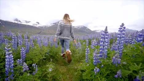 Mujer-joven-en-campo-altramuz-de-flor-en-Islandia-viven-una-vida-feliz-y-disfrutando-de-unas-vacaciones-en-país-norte-Slow-motion-video-gente-divertido-concepto