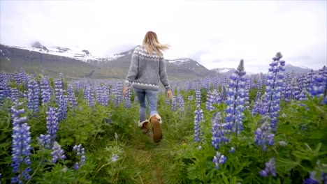 Junge-Frau-zu-Fuß-in-lupine-Blumenfeld-in-Island-Leben-ein-glückliches-Leben-und-genießen-Urlaub-im-nördlichen-Land-Slow-Motion-video-Menschen-Reisen-Spaß-Konzept