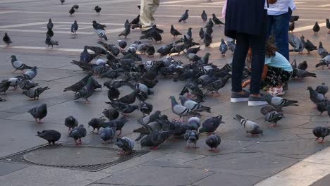 Italy-sunset-time-milan-famous-duomo-cathedral-sqaure-pigeons-slow-motion-panorama-4k