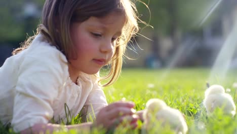 Little-Girl-Playing-with-Chick