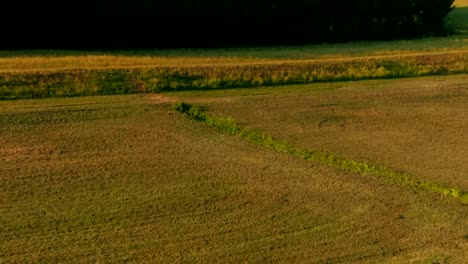 Tuscan-Countryside,-Lucca,-Italy