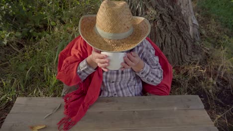 Girl-in-straw-hat-drinking-tea-top-view