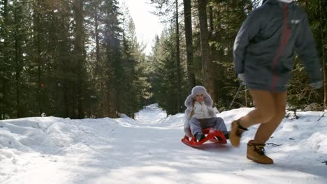 Boy-Pulling-Sled-with-Little-Sister